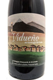 Envinate 2021 Tenerife Vidueno de Santiago del Teide