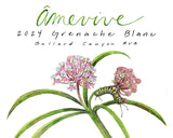 Amevive 2024 Grenache Blanc Ballard Canyon