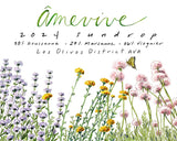 Amevive 2024 Sundrop