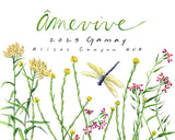 Amevive 2025 Gamay Santa Barbara